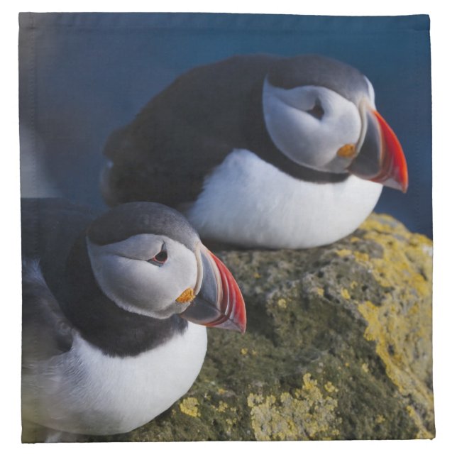 Atlantic Puffin Napkin (Front)
