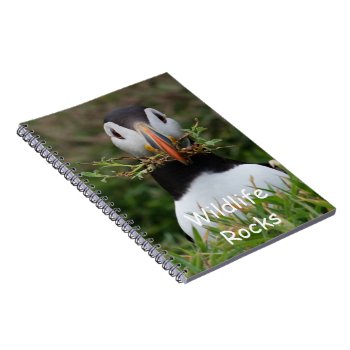 Atlantic Puffin Notebook by Welshpixels at Zazzle