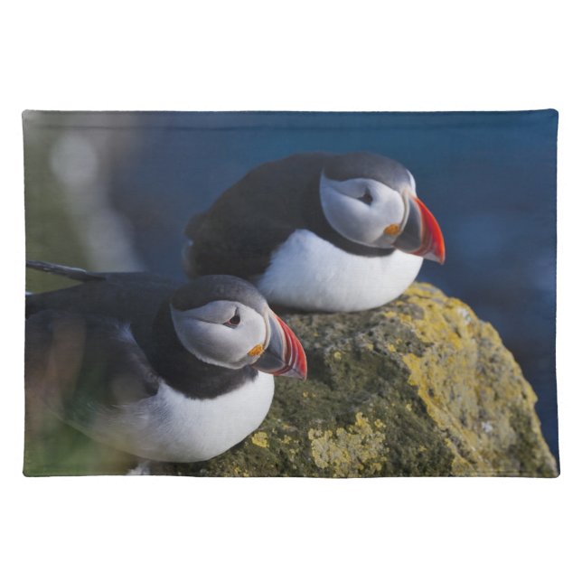 Atlantic Puffin Placemat (Front)