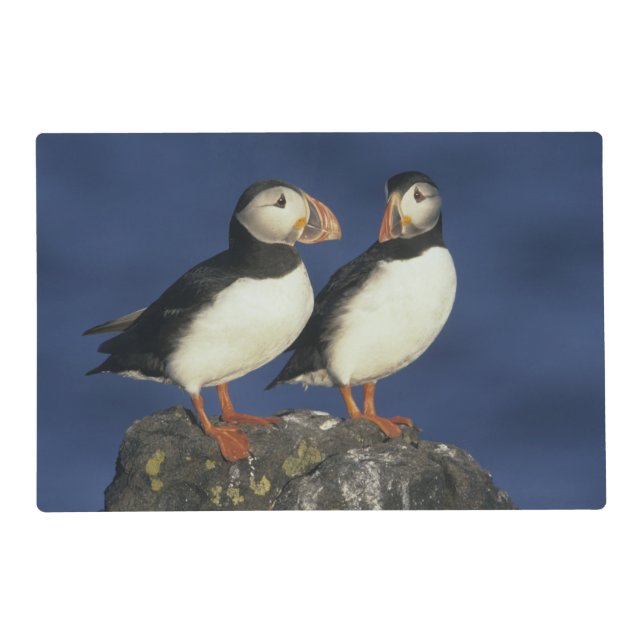 Atlantic Puffin Placemat (Front)
