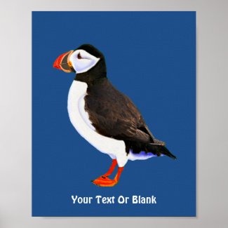 Atlantic Puffin