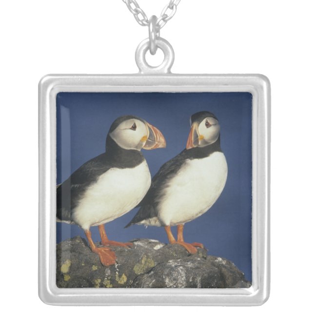 Atlantic Puffin Silver Plated Necklace (Front)