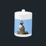 Atlantic Puffin Teapots<br><div class="desc">A cute Skomer puffin against a blue background. Easily change the background colour if you wish.</div>