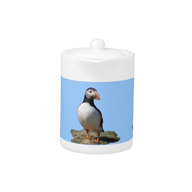 Atlantic Puffin Teapots (Front)
