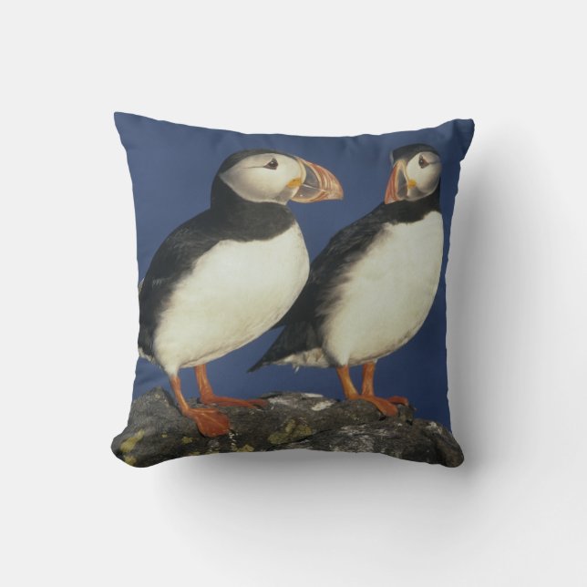 Atlantic Puffin Throw Pillow (Front)