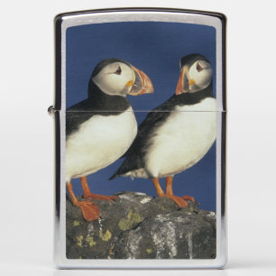 Atlantic Puffin Zippo Lighter