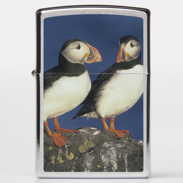 Atlantic Puffin Zippo Lighter (Front)