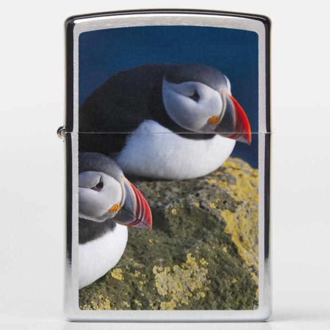 Atlantic Puffin Zippo Lighter (Front)