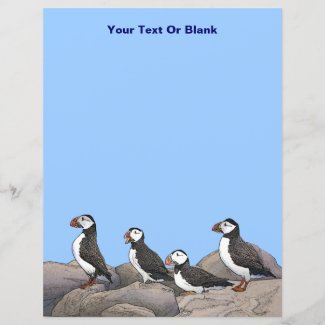Atlantic Puffins