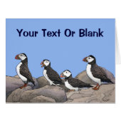Atlantic Puffins (Front Horizontal)