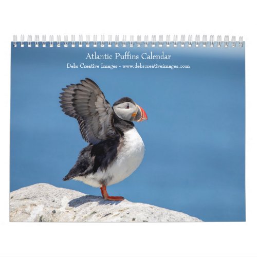 Atlantic Puffins 2024 Calendar
