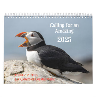Atlantic Puffins 2025 Calendar