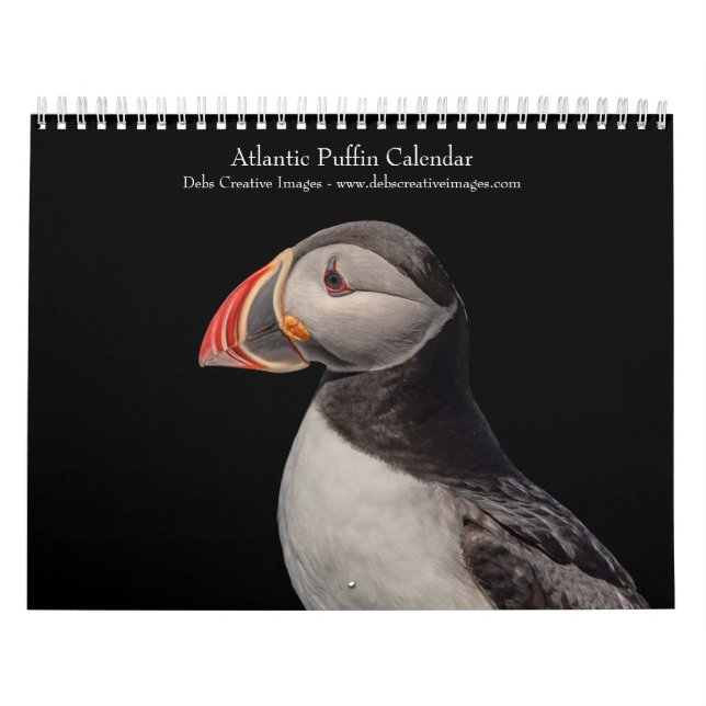 Atlantic Puffins 2026 Calendar (Cover)
