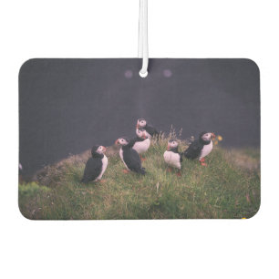 Atlantic Puffins Air Freshener