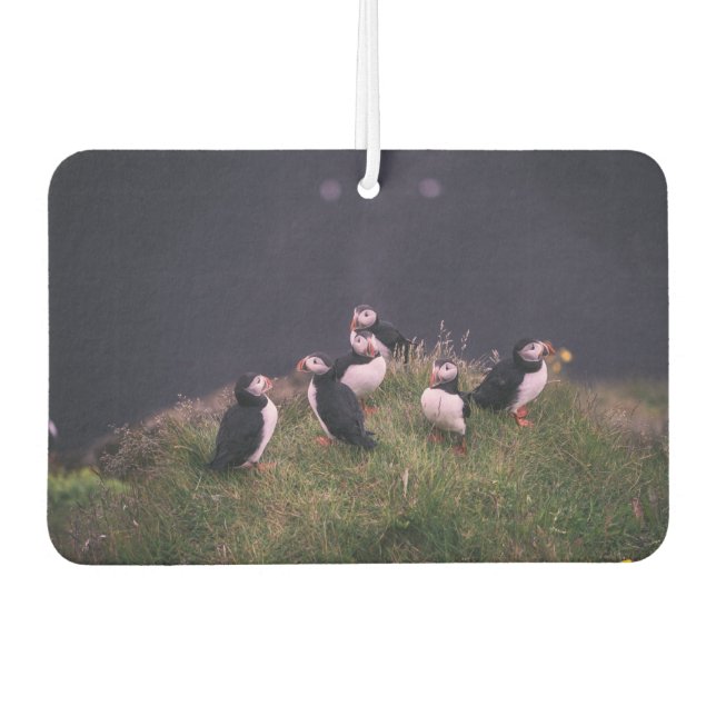 Atlantic Puffins Air Freshener (Front)