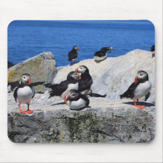 Atlantic Puffins at Machias Seal Island Mouse Pad