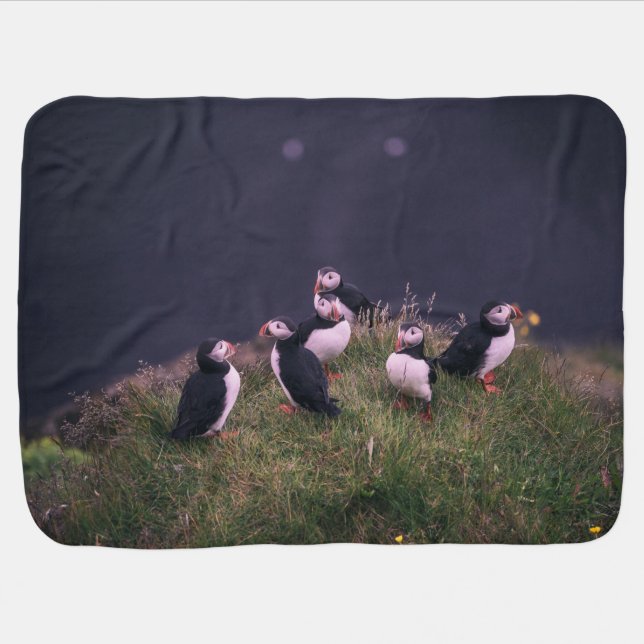 Atlantic Puffins Baby Blanket (Horizontal)