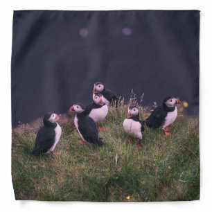 Atlantic Puffins Bandana