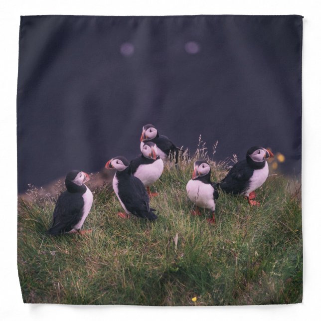 Atlantic Puffins Bandana (Front)