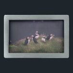 Atlantic Puffins Belt Buckle<br><div class="desc">A gathering of Atlantic Puffins. Photo by Jonatan Pie.</div>