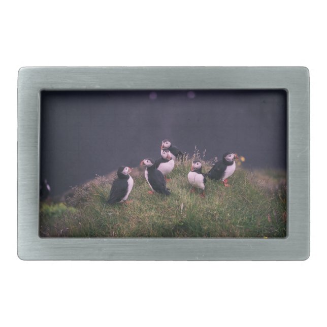 Atlantic Puffins Belt Buckle (Front)