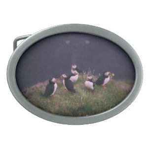 Atlantic Puffins Belt Buckle