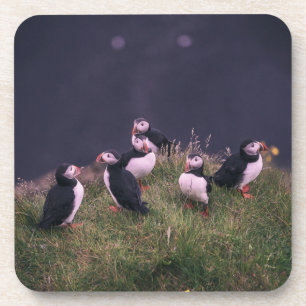 Atlantic Puffins Beverage Coaster