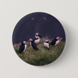 Atlantic Puffins Button