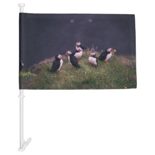 Atlantic Puffins Car Flag
