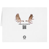 Atlantic Puffins Cards (Back Horizontal)