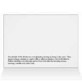 Atlantic Puffins Cards (Inside Horizontal (Top))