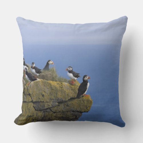 Atlantic Puffins Fratercula arctica on cliff Throw Pillow