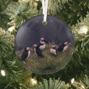Atlantic Puffins Glass Ornament