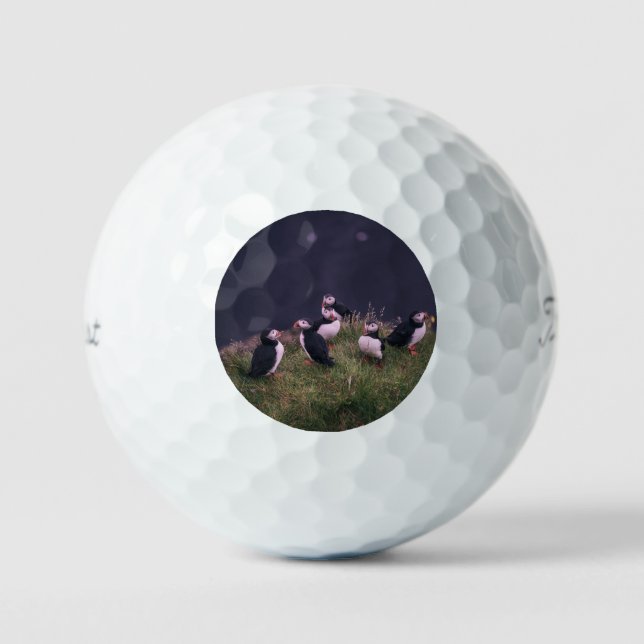Atlantic Puffins Golf Balls (Front)
