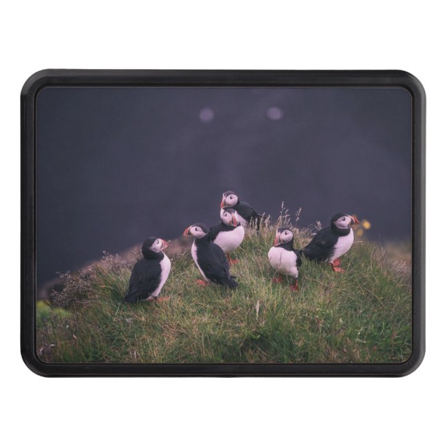 Atlantic Puffins Hitch Cover (Front)