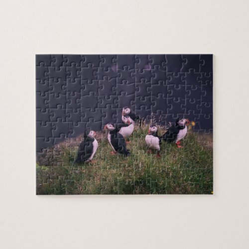 Atlantic Puffins Jigsaw Puzzle