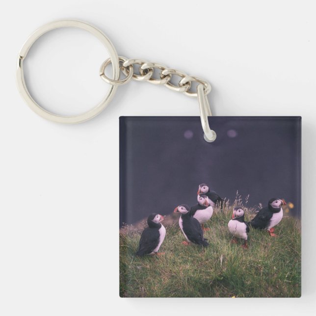 Atlantic Puffins Keychain (Front)