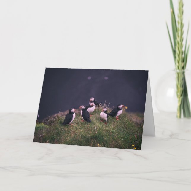 Atlantic Puffins Letterpress Thank You Card (Front)