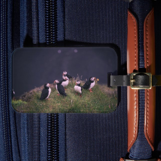 Atlantic Puffins Luggage Tag (Front Insitu 4)