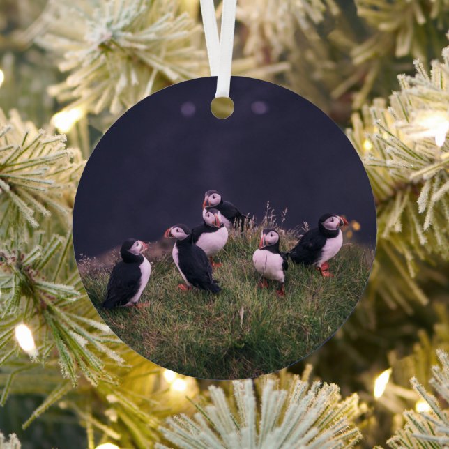 Atlantic Puffins Metal Ornament (Insitu)