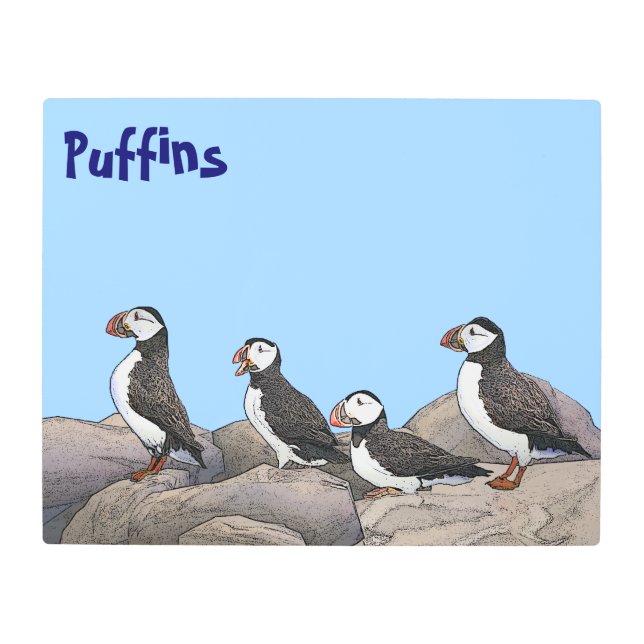 Atlantic Puffins Metal Print (Front)