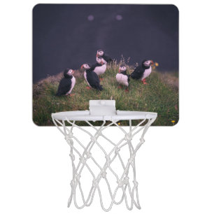 Atlantic Puffins Mini Basketball Hoop