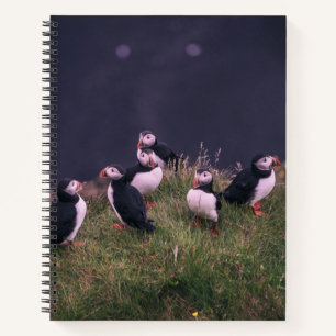 Atlantic Puffins Notebook