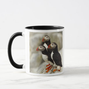 Atlantic Puffins on Machias Seal Island Mug