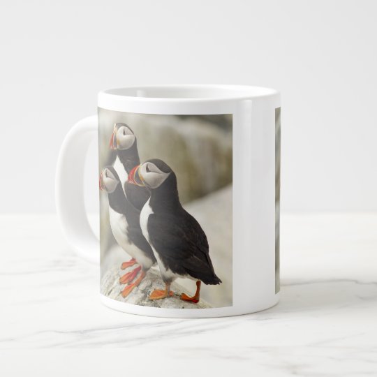 Atlantic Puffins On Machias Seal Island Off The Large Coffee Mug Zazzle Com