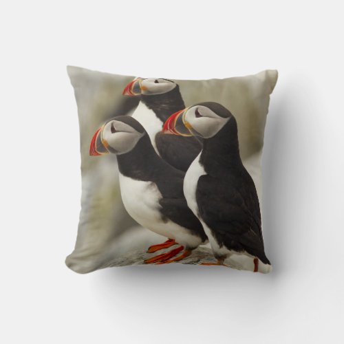 Atlantic Puffins on Machias Seal Island off the Throw Pillow