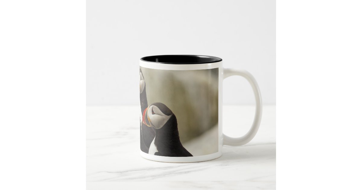 Atlantic Puffins On Machias Seal Island Off The Two Tone Coffee Mug Zazzle Com