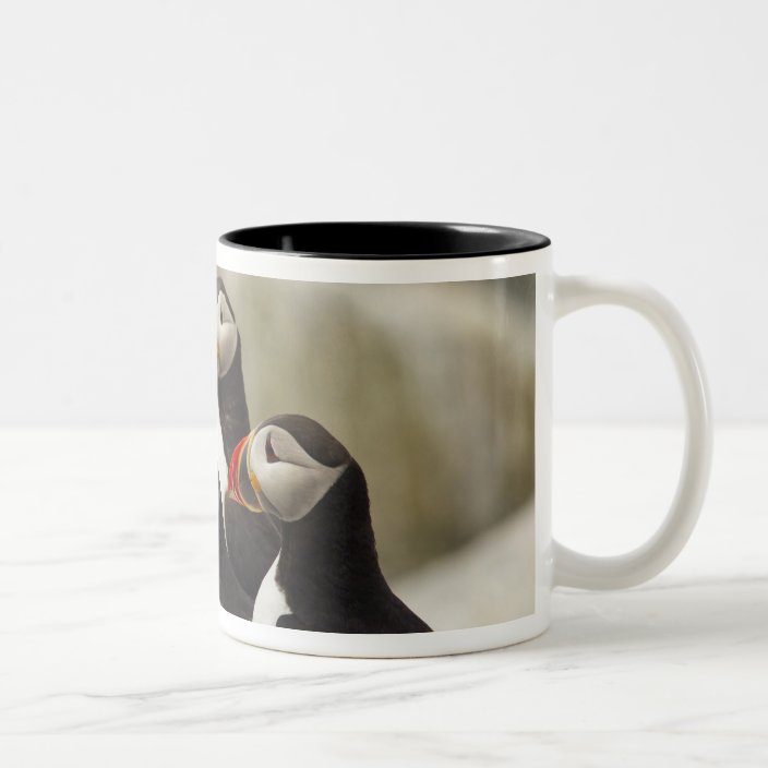 Atlantic Puffins On Machias Seal Island Off The Two Tone Coffee Mug Zazzle Com