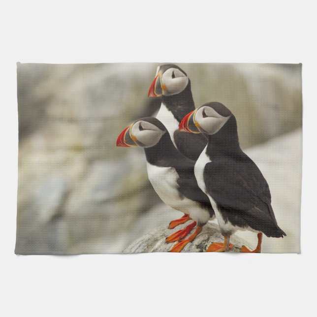 Atlantic Puffins on Machias Seal Island Towel (Horizontal)