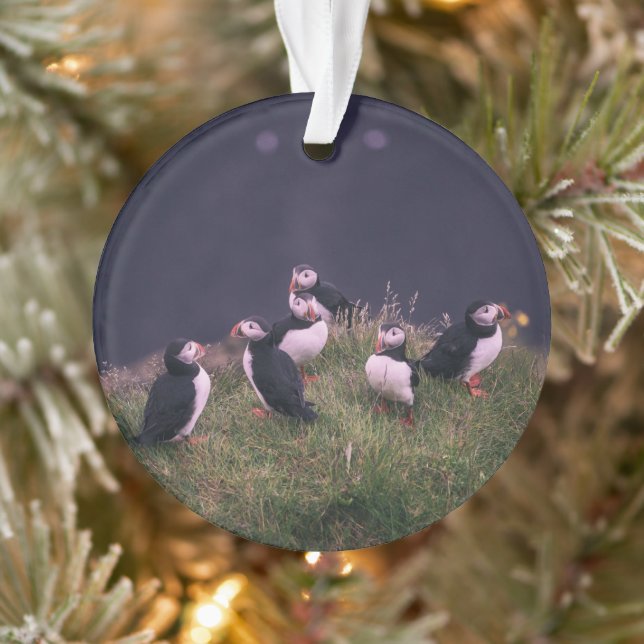 Atlantic Puffins Ornament (Tree)